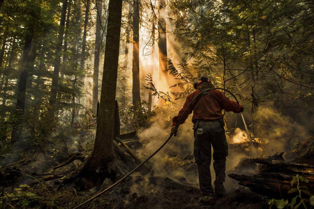 INTRODUCTION Over the past 10 years, Canada has witnessed a serious and sustained increase in extreme wildland fire behaviour and wildland-urban interface (WUI) events resulting in threats to life,