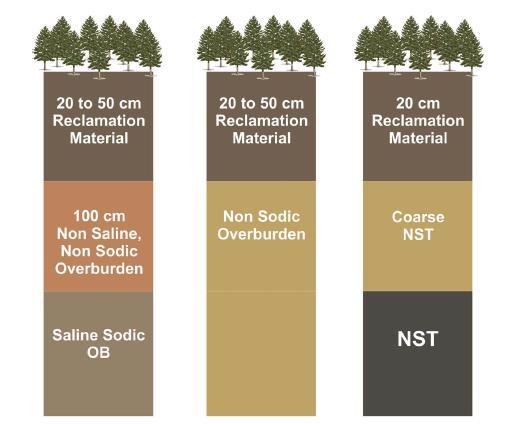 Oil sands reclamation modelling soil substrates NST = Non-Segregated Tailings CNRL EIA 2002 Reclamation substrates are different from natural soils Overburden: Mixed, no