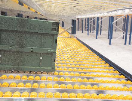 Roller conveyors ensure that stored goods move forward automatically to the retrieval point.