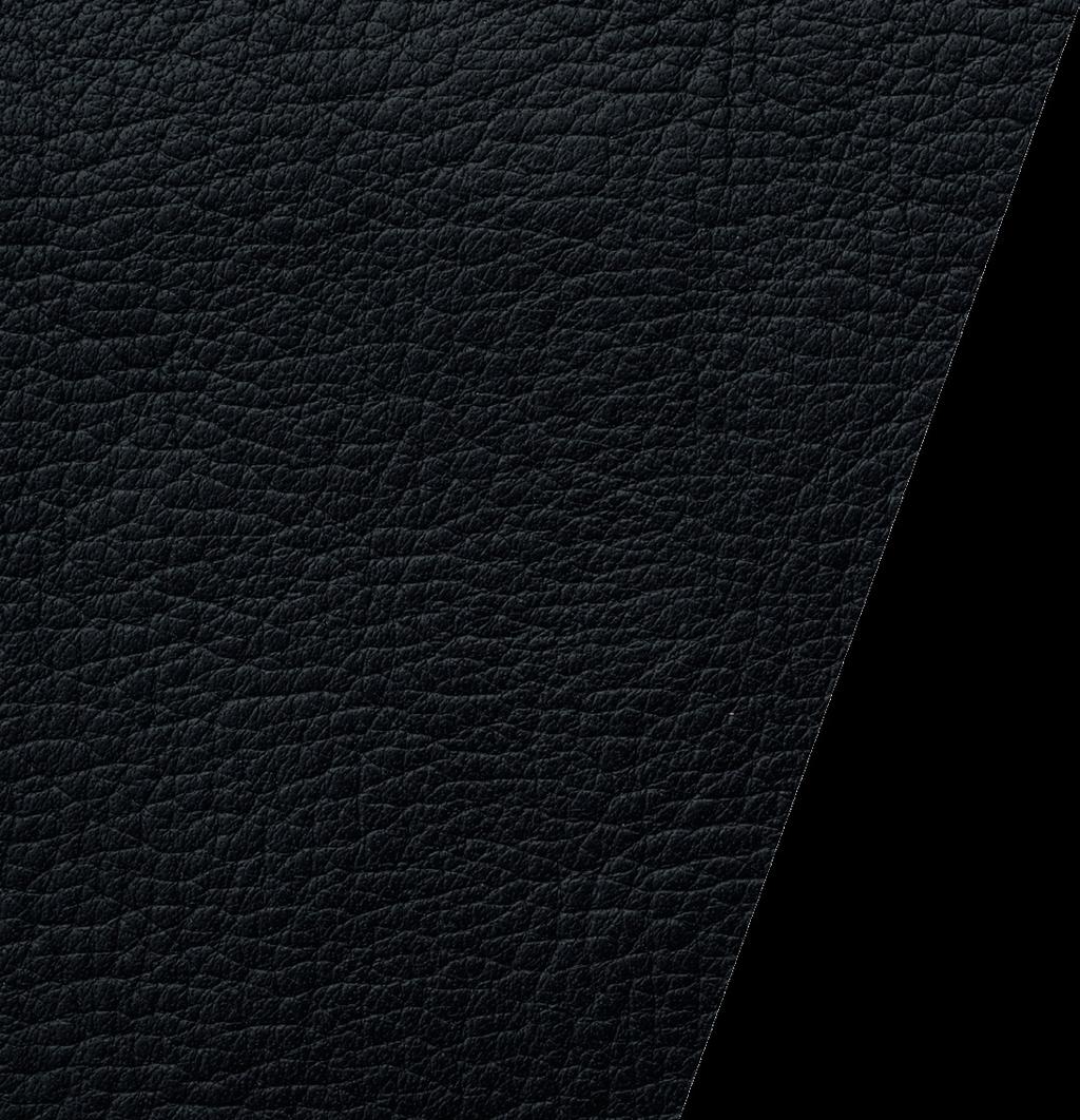 With the Versalis specific service offer, Lectra takes the leather cutting room to a new level of excellence.
