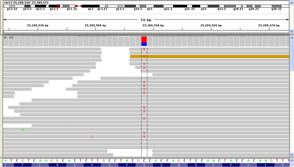 Pileup diagram shows mapping of reads to reference; example from HuTS shows a SNP in KRAS gene; this means