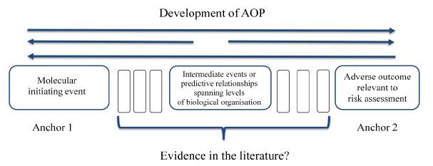 OECD AOP Project Response matrix Guidance Integration of AOPs into all