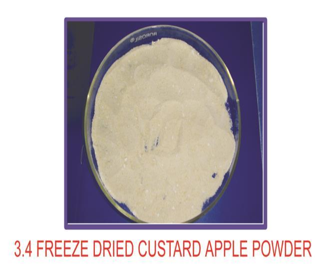 Custard Apple Powder The processors and exporters are recommended to adopt freeze