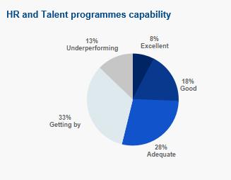 Figure 3: HR and Talent Programmes capability business needs.