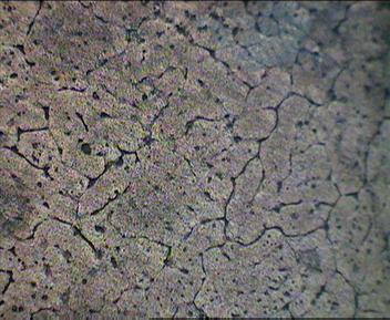 2 Show the microstructure of developed aluminium foam using CaCO3 as foaming agent.