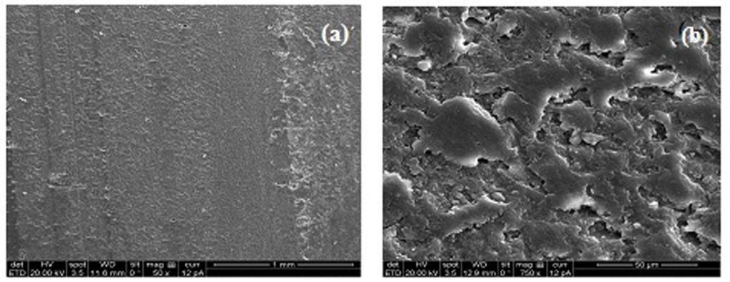 nanoparticles. Since the Al 2 O 3 particles are bigger in size (around 30-40 nm), they can protrude out of the matrix and act as stiff spacers towards the steel counter surface.