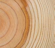 Subsequently, the wood is used to generate power, achieving an excellent degree of efficiency: the heat generated in pulp production is not only used to supply the factory