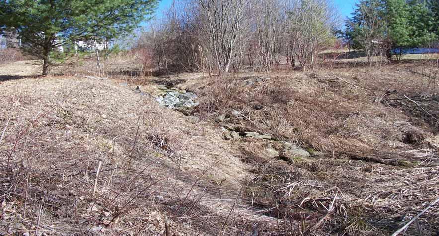 Small Stormwater Basin Inlet swale from Road
