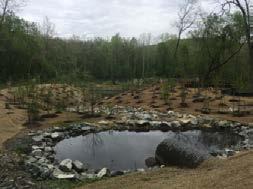 projects with nutrient benefits Watershed Restoration
