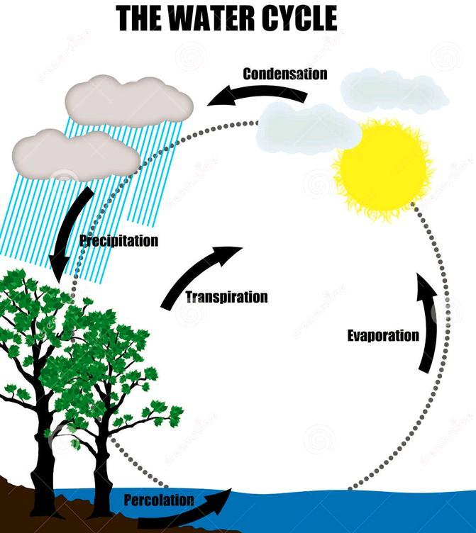 NUTRIENT CYCLES AND HUMAN IMPACT NOTES I. Nutrient Cycles Unlike energy in an ecosystem, which flows in one direction and decreases as it flows, matter is recycled within the biosphere.