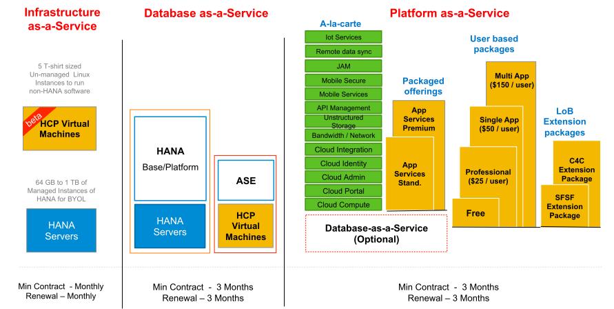 SAP HANA Cloud Platform Pricing Scenarios 2015 SAP