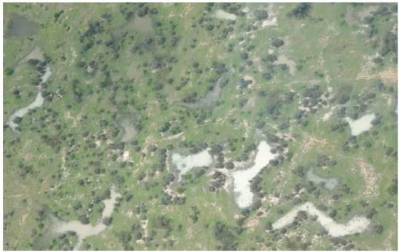 Figure 3.9 Aerial Photograph Showing Typical Landscape Conditions (Gilgai) 3.5.