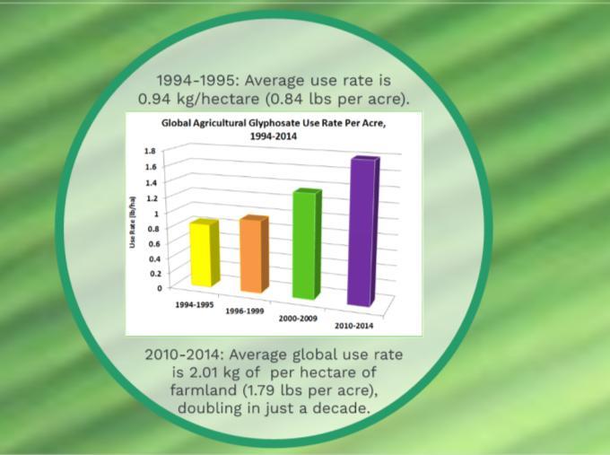 Global Use, Second Subtopic (terraces): Use Per Hectare 1994-1995: Average use rate is 0.94 kg/hectare (0.