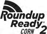 Roundup Ready 2 Technology - LibertyLink herbicide resistance - Widely adapted hybrid - Excels in all crop rotations - Works in all soil types from high fertility to wet clay conditions - Medium-tall