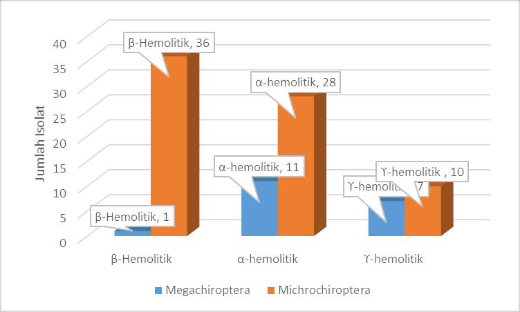 Fig. 3: Hemolytic Activity of The Bacteria Hemolytic activity testing of bacterial isolates from bat saliva samples Megachiroptera and Microchiroptera conducted using blood media that have varying