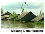 High Flood in the