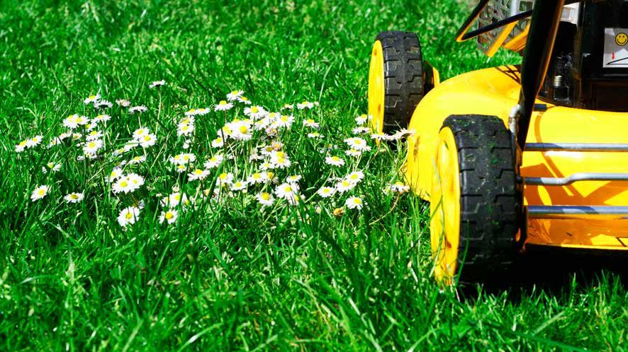 Student Worksheet Lawn Mower Solar energy can be captured and used in many ways. Solar panels convert solar energy into electrical energy, powering a variety of mechanisms.