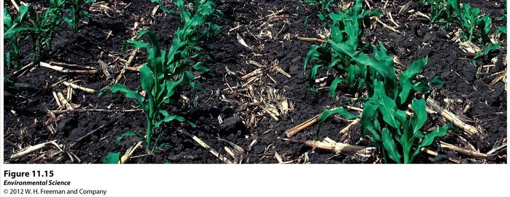 degradation by leaving crop residues