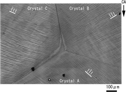 The Relationship between Crystal Rotation Axis Orientation and Active System in Deformed Aluminum Tricrystal 421 Fig. 3 SEM micrograph of the specimen after compression taken at a low magnification.