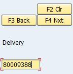31) Type the Outbound Delivery number in the field and then click the button.