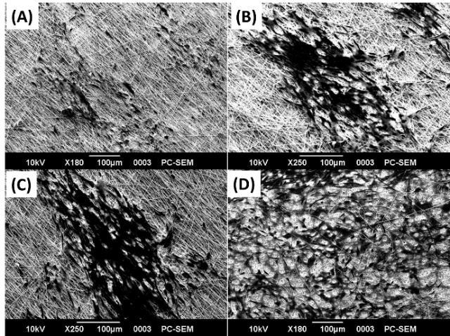 6 Jaiswal, A et al. Table 3 - The initial contact angle values of electrospun fibrous scaffolds using distilled water S. No. Sample Contact angle (in degree) 1 PLLA 120.6±1.1 2 PLLA-Collagen 86.2±0.