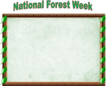 NATIONAL FOREST WEEK ACTIVITIES The following activities have been put together to help guide you through National Forest Week.