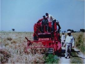 MECHANIZED PRODUCTION OF OILSEED CROPS IN PAKISTAN Mechanical Systems There are three options i) Harvesting with mechanical reaper windrower followed by manual
