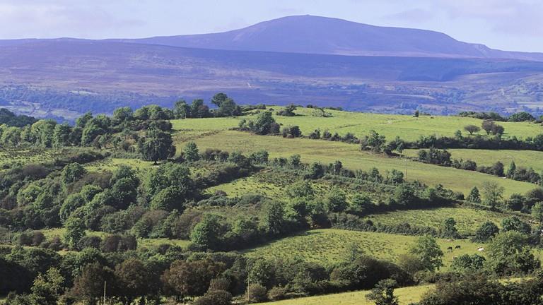 300,000 km of hedgerows in Ireland noticenature.