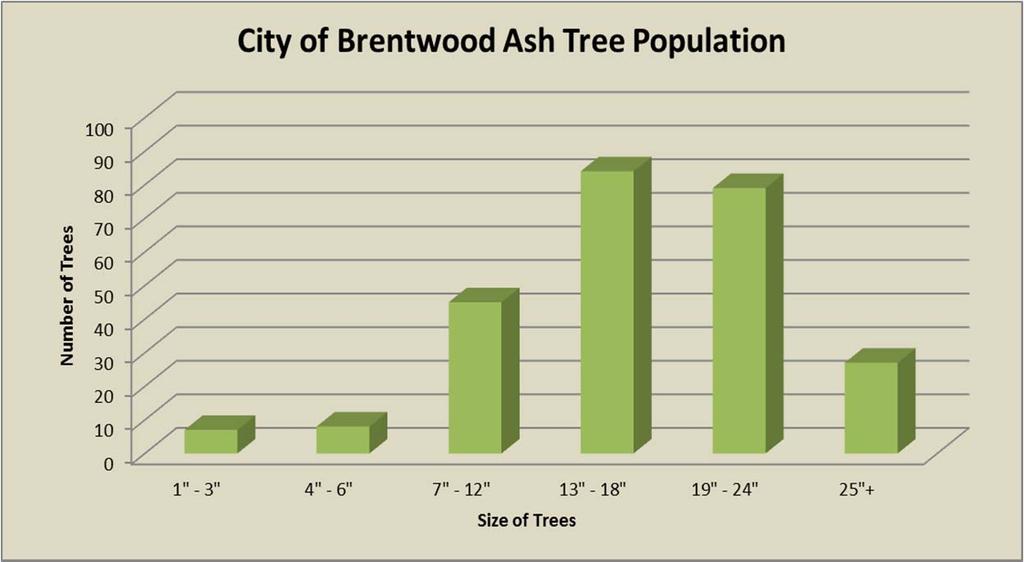 Current Inventory: The City of Brentwood recently finished a re-inventory of the city s Urban Forest.