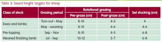 0 MJ/kg DM for the whole season Protein averages about 17% in pure ryegrass