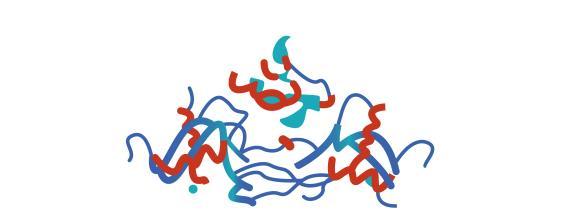 serum haat µg/ml Intellia s Insertion Approach Works for Multiple Transgenes: in vivo