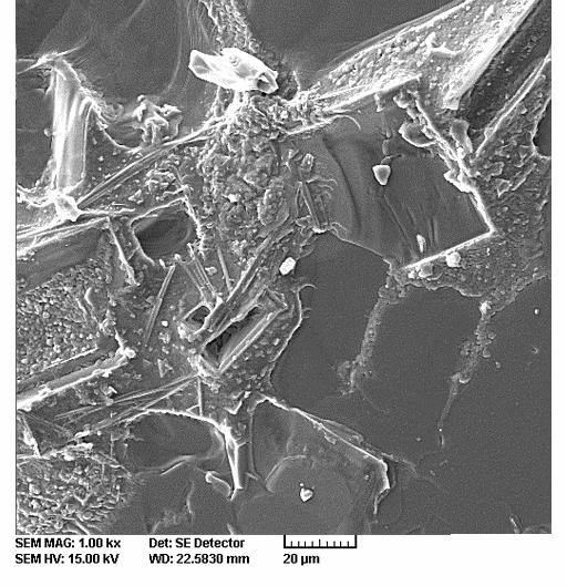 SEM images of the molten reference powder (a) 500x (b) 1000x Portland cement clinker in the chemical composition of sample 1.