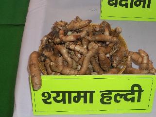 Agro-biodiversity from Chitrakoot and near by areas The word Heritage signifies the mutua reationship between the residents of the area and the per se