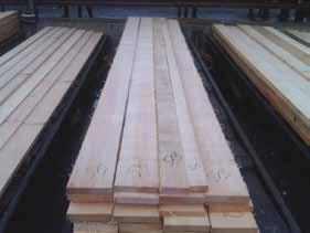 Trade in softwoods and hardwoods.