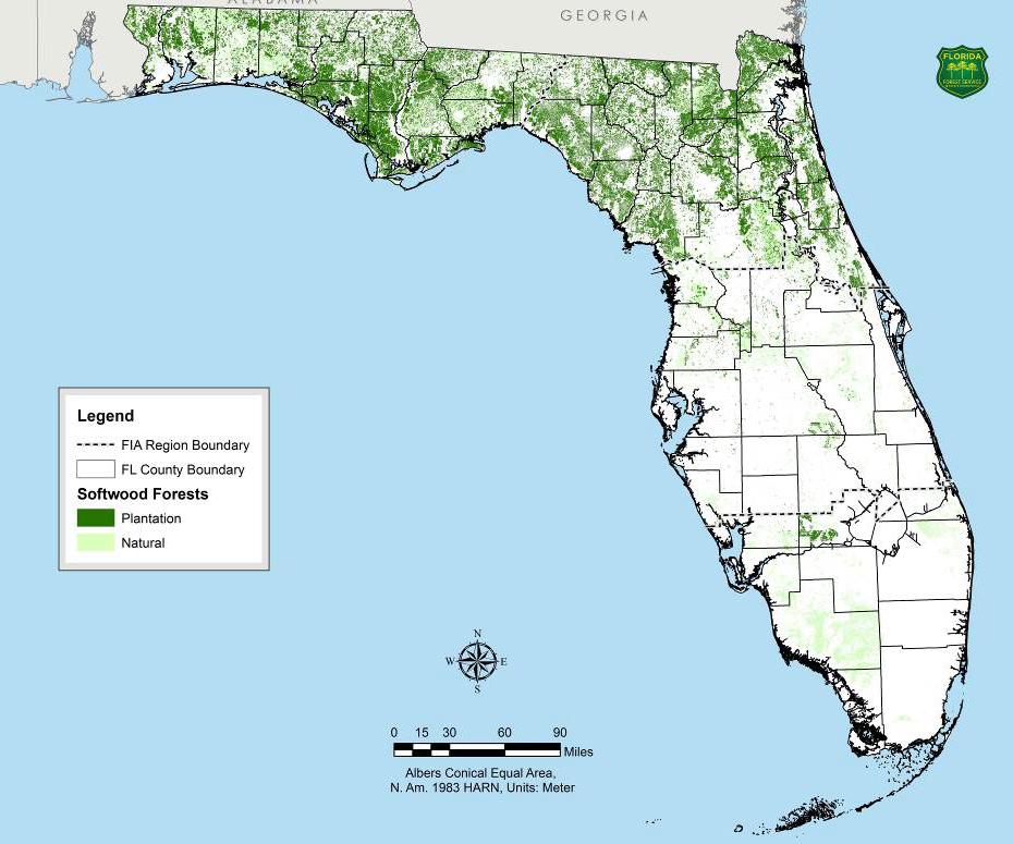 Timber Origin: One-third of Florida s forests (5.