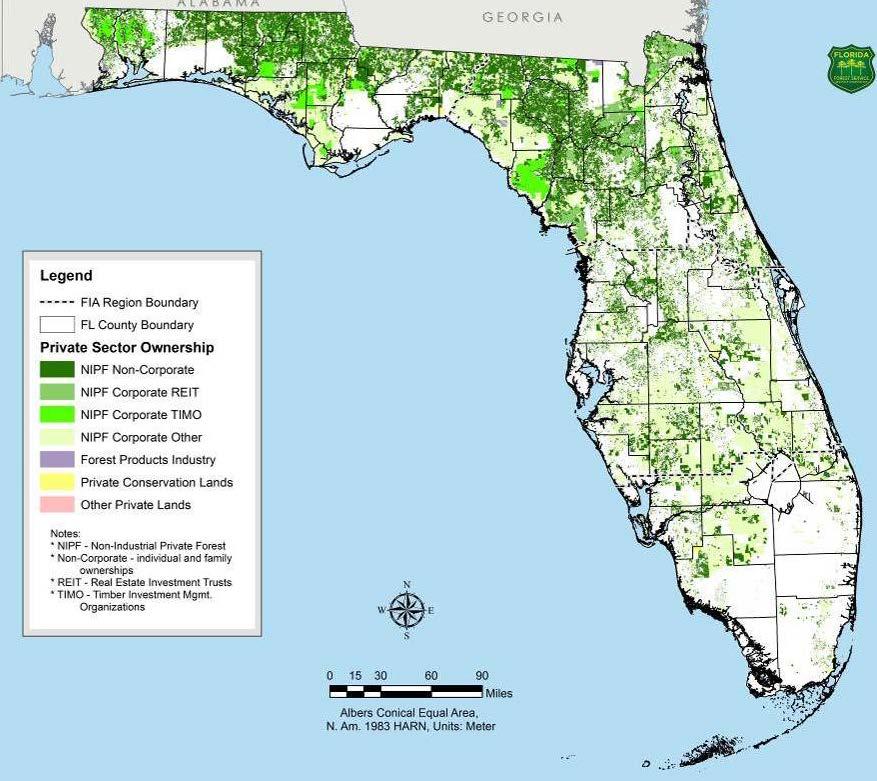 Private ownership is proportionately greater in north Florida, reaching as much as 76% of all forestland in Northeast Florida.
