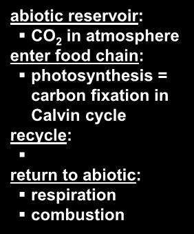 return to abiotic: Plants respiration Animals combustion Dissolved CO 2 Bicarbonates Photosynthesis Animals