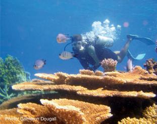 Great Barrier Reef (GBR) Partners: QLD Gov, CSIRO, GBR Marine Park Authority Declining