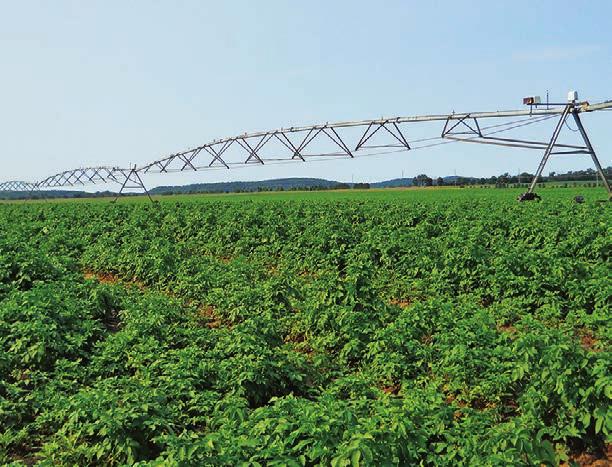 Growers in Wisconsin irrigate about 473,000 acres of potato, vegetable, field, fruit, turf and nursery crops each year (2013 NASS) to ensure profitable crop production.