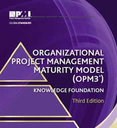 OPM Context for Foundational Standards Organizational Strategy Project Practices (Project, Program, Portfolio P3 )