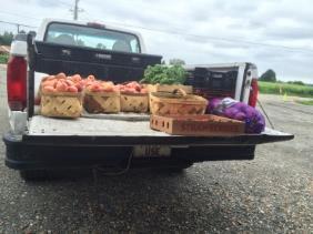 Transportation Requirements Equipment used to transport covered produce must be a) be adequately cleaned prior to transporting produce and b) adequate for use in transporting covered produce If