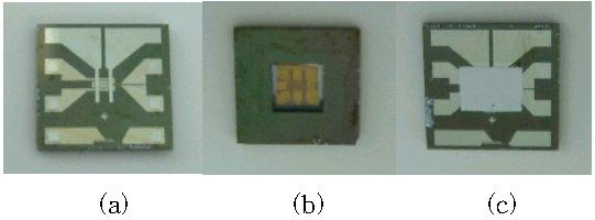 (a) Swirl type; (b) type. The micro heaters were designed in two types. One is the swirl type, and the other is type. Figure 4 shows Fig. 6. Photographs of prepared sensor.