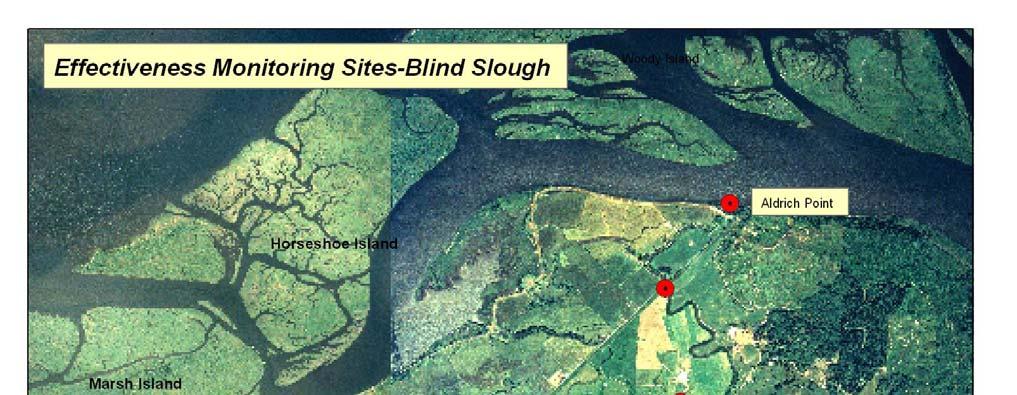 35 30 14 25 12 20 15 10 5 0 Water Quality Monitoring: Blind Slough Blind Slough Temperature 5/23-6/10 @"Plug" Blind Slough DO changes at "Plug" Site 5/23-6/10 2003 2005 2005 Outside