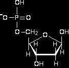 Attaching a phosphate group The other repeating part of the DNA backbone is a phosphate