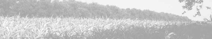 Windbreaks 1 AGROFORESTRY NOTES AF Note 25 March 2002 National Agroforestry Center Windbreaks: An Agroforestry Practice Purpose of Note Definition Benefits Introduce the concept of windbreaks and