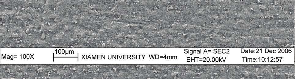 SEM images of the surface