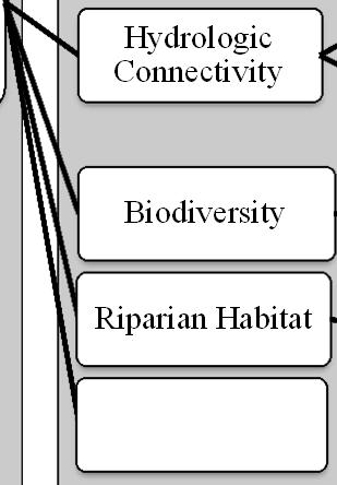 invasives Riparian Habitat