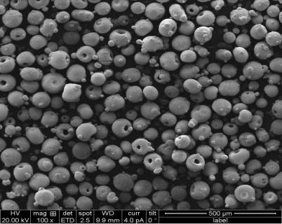 magnification and the SEM images of the coated