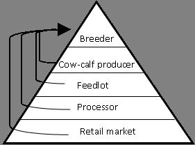 Ideally cattle would be genotyped once early in life and genotypes shared among production sectors