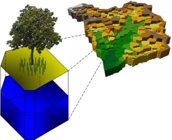 Process Representation: Surface Processes Land-Atmosphere Interactions Vegetation Coupled Energy and Hydrology Processes on Complex Terrain Soil 3D Complex Topography Radiation: Incoming short-wave